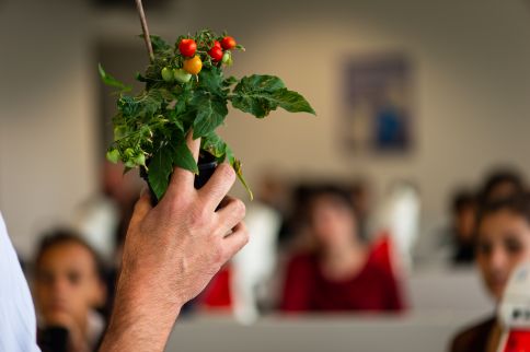 Photo Le pollen dans tous ses états - (INRAE) © Gautier Dufau - université de Bordeaux