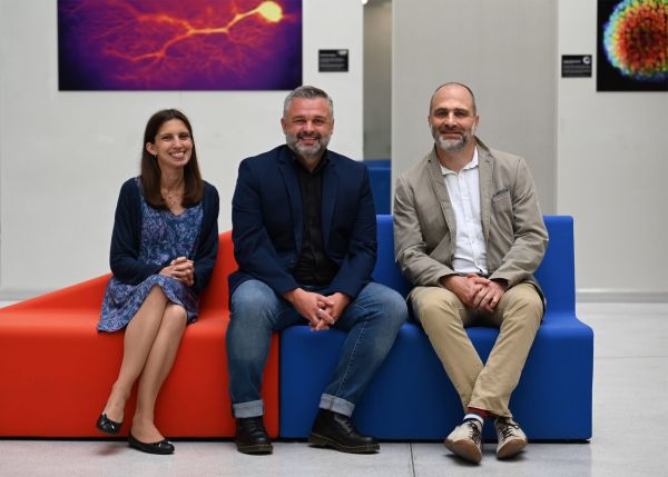 Photo : Aude Panatier, Jérôme Baufreton (au centre) et Mathieu Wolff de la direction du département © Arnaud Rodriguez - Bordeaux Neurocampus