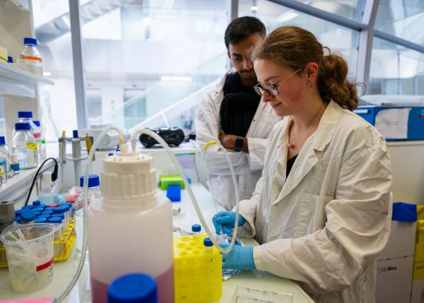 Photo : Bordeaux Summer School - Introduction to experimental neuroscience © Gautier Dufau