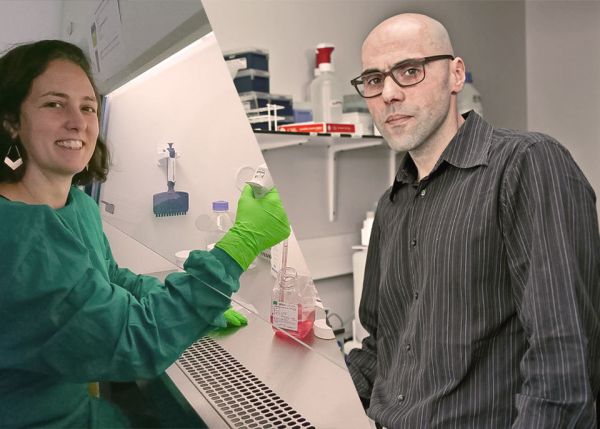 Photo : Claire Leibler et Rodrigue Rossignol dans leur laboratoire respectif © université de Bordeaux