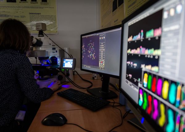 Photo : Analyse de chromosomes au département de recherche Sciences biologiques et médicales (SBM) © Gautier Dufau