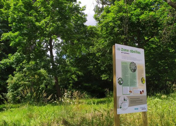 Photo : L'université s'engage à préserver, restaurer et favoriser la biodiversité © université de Bordeaux