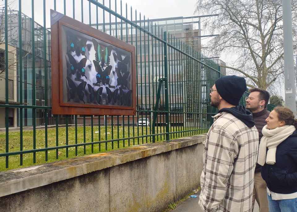 Les photos s'exposent sur les grilles du campus Peixotto © université de Bordeaux