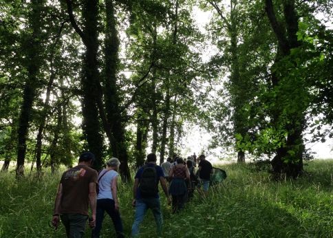 Photo Le public peut, à certaines occasions, déambuler dans la forêt expérimentale © université de Bordeaux