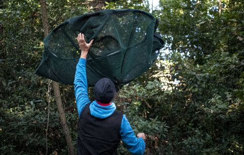 Photo Les podcasts immersifs Chroniques de la forêt expérimentale font découvrir de nombreux métiers de la recherche © université de Bordeaux