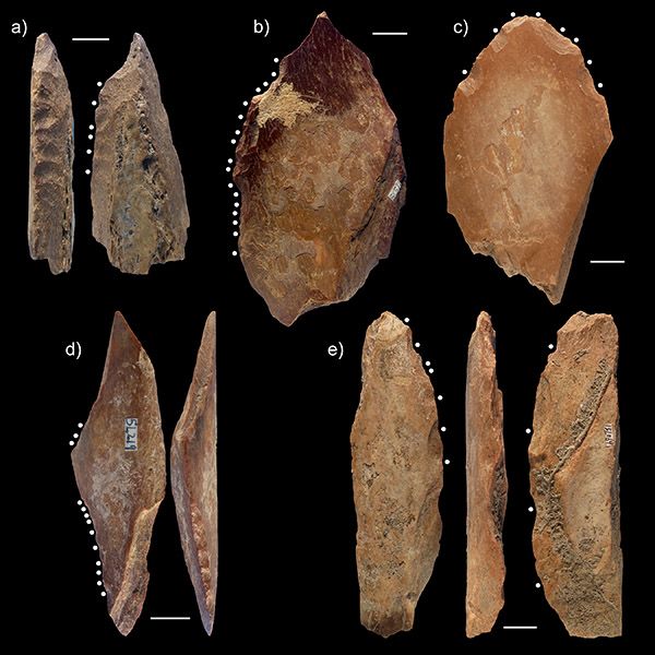 Un échantillon de restes d'os de faune de Lingjing, un site chinois vieux de 115 000 ans. Ces fragments d'os longs présentant de telles caractéristiques peuvent donc être interprétés comme ayant été taillés à dessein pour être utilisés comme outils d'appoint © Luc Doyon and al. 2021 Plos One 