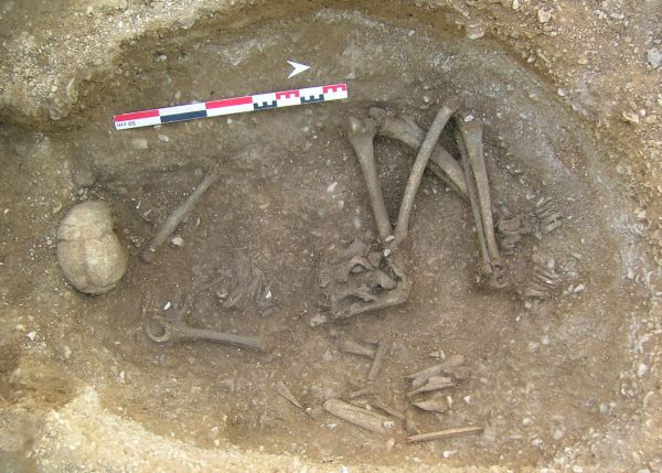 Photo : Bones of the female identified as GLN270A (top of photo, no genetic results) with whom the long bones of the main ancestor GLN270B (bottom of photo) of the extended family tree were reburied. © Stéphane Rottier - PACEA