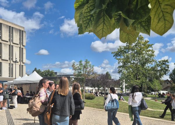 Photo : Le rapport sur les ODD témoigne des efforts conjugués de la communauté universitaire en faveur des transitions environnementales et sociétales © université de Bordeaux