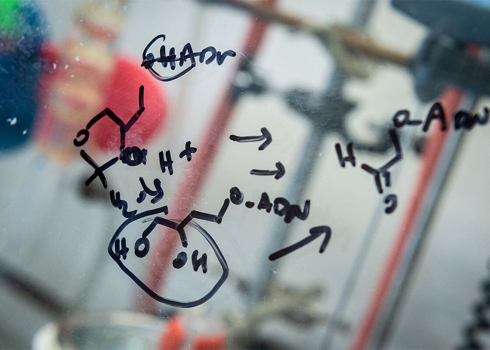 L'anglicisme « sérendipité » est défini par l'Académie française comme la faculté de discerner l’intérêt, la portée d’observations faites par hasard et sortant du cadre initial d’une recherche scientifique © université de Bordeaux