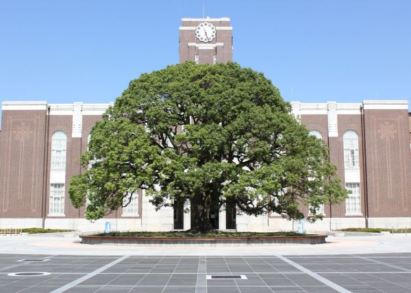 Photo : Université de Kyoto, Japon © Kyoto university